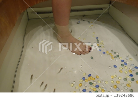 Foot in Container with Pebbles and Fish Foot in Container with Pebbles and Fish 139248686
