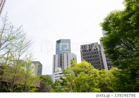 虎ノ門のビル群と新緑の風景 139248798