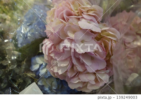 Pink and Blue Hydrangea Bouquet Close-up Pink and Blue Hydrangea Bouquet Close-up 139249003