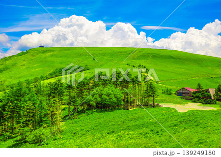 爽やかな高原風景 爽やかな高原風景 139249180