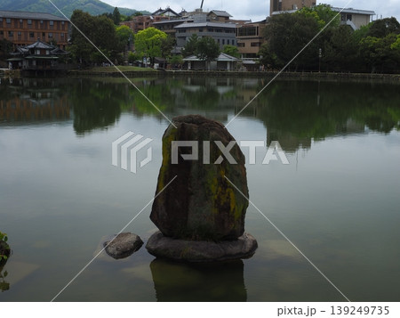 曇り空の下、しっとりと落ち着いた情緒を漂わせる猿沢池の風景 曇り空の下、しっとりと落ち着いた情緒を漂わせる猿沢池の風景 139249735