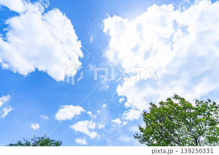 春の青空と雲と新緑 春の青空と雲と新緑 139250331