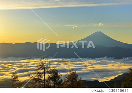 甘利山から望む甲府盆地の雲海と富士山 甘利山から望む甲府盆地の雲海と富士山 139250635