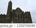 【アイルランド・キャッシェル】ロック・オブ・キャッシェル 139250686