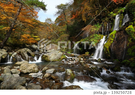 紅葉に包まれる吐竜の滝 139250728