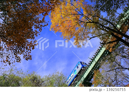 紅葉の中を走る小海線 HighRail1375 紅葉の中を走る小海線 HighRail1375 139250755