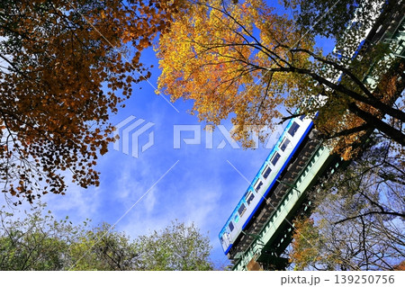 紅葉の中を走る小海線　HighRail1375 139250756