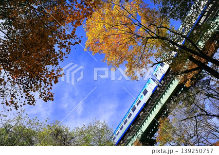 紅葉の中を走る小海線　HighRail1375 139250757