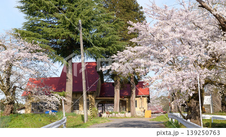 旧国鉄日中線　熱塩駅の桜　福島県 139250763