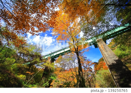 紅葉の中を走る小海線 紅葉の中を走る小海線 139250765