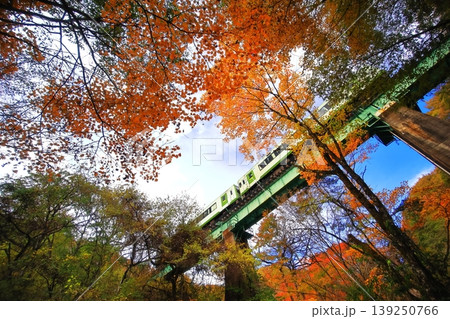 紅葉の中を走る小海線 紅葉の中を走る小海線 139250766