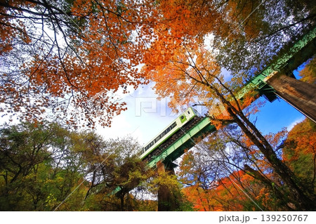 紅葉の中を走る小海線 紅葉の中を走る小海線 139250767