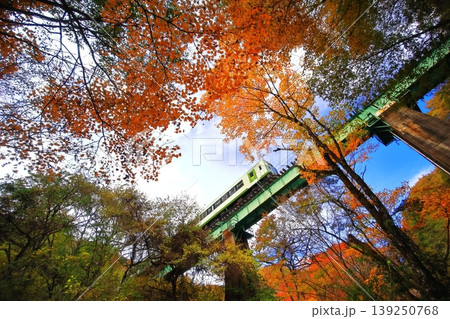 紅葉の中を走る小海線 139250768