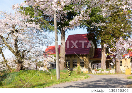 旧国鉄日中線　熱塩駅の桜　福島県 139250803