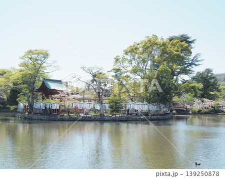 神奈川県　鶴岡八幡宮　旗上弁財天　4月 139250878