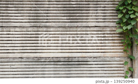 Green Vines on Striped Concrete Walls 139250940