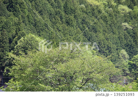 美山　京都府　かやぶきのさと　風景 139251093