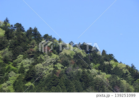 美山 京都府 かやぶきのさと 風景 美山 京都府 かやぶきのさと 風景 139251099