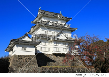 青空に映える天守閣 青空に映える天守閣 139251645