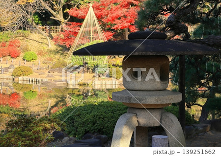 晩秋の日本庭園 晩秋の日本庭園 139251662