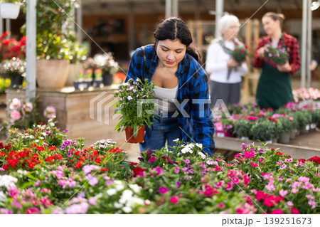 In flower shop, girl customer chooses dianthus chinensis plant to decorate room, balcony In flower shop, girl customer chooses dianthus chinensis plant to decorate room, balcony 139251673