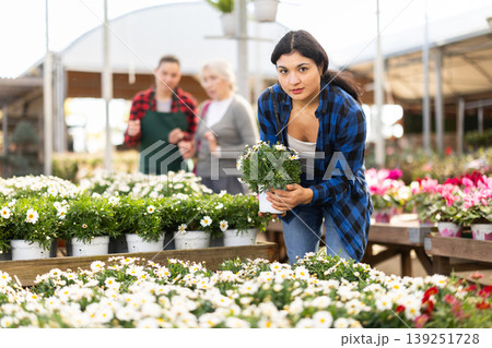 Young woman chooses daisy chrysanthemum in flower shop Young woman chooses daisy chrysanthemum in flower shop 139251728