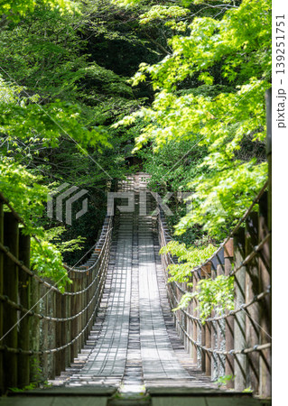 新緑の花貫渓谷　汐見滝吊り橋 139251751