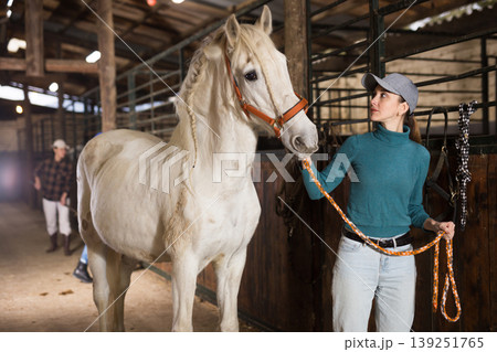 Young female stable worker leading white horse by bridle in barn 139251765