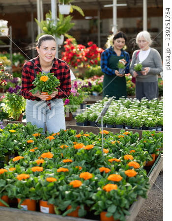 Young female customer near display case with calendula carefully selects pot with seedlings. Young female customer near display case with calendula carefully selects pot with seedlings. 139251784