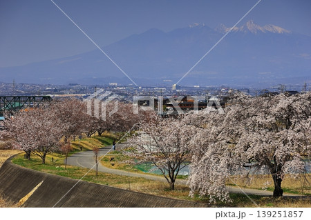 芦川の桜並木と身延線 芦川の桜並木と身延線 139251857