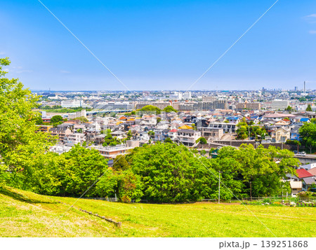 新緑の丘から眺める住宅地 東京 新緑の丘から眺める住宅地 東京 139251868