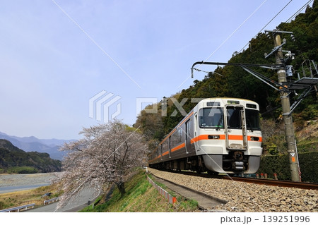桜と身延線 桜と身延線 139251996