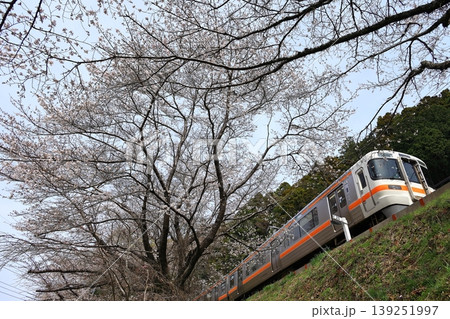 桜と身延線 桜と身延線 139251997