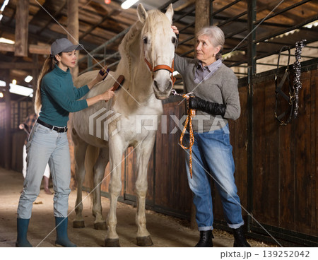 White horse care in the stable - brushing horses body White horse care in the stable - brushing horses body 139252042