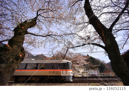 塩之沢駅の桜と特急ふじかわ 塩之沢駅の桜と特急ふじかわ 139252115