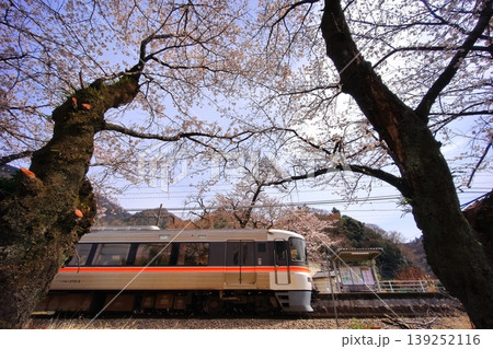塩之沢駅の桜と特急ふじかわ 139252116