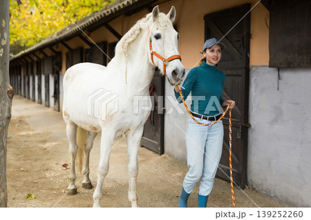 Horse breeder leading white horse through paddock 139252260