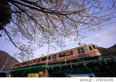 桜と常葉川を渡る身延線 桜と常葉川を渡る身延線 139252298
