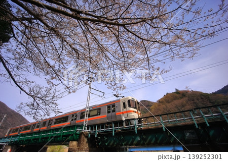 桜と常葉川を渡る身延線 139252301