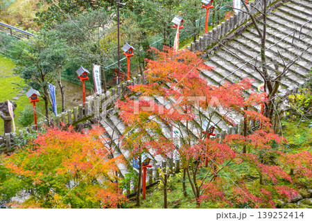 熊野那智大社　参道 139252414