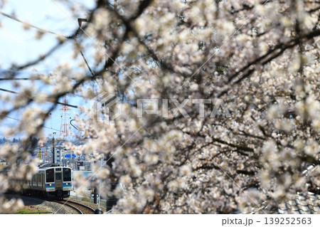 満開の桜の中を駆け抜ける中央本線 満開の桜の中を駆け抜ける中央本線 139252563
