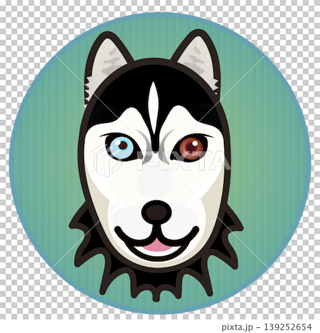 Illustration of a Siberian Husky's face with a circular background Illustration of a Siberian Husky's face with a circular background 139252654
