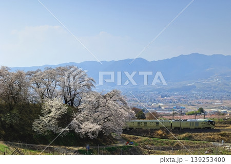 甚六桜と四季島 139253400