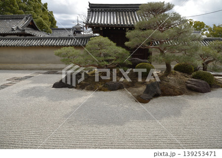 東寺塔頭　観智院庭園　長者の庭(京都市南区) 139253471