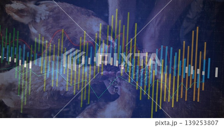 Displaying raw poultry carcass overlaying candlestick bars, vivid line graphs and grid on dark slab Displaying raw poultry carcass overlaying candlestick bars, vivid line graphs and grid on dark slab 139253807