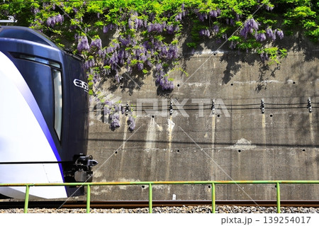 藤の花と中央線 藤の花と中央線 139254017