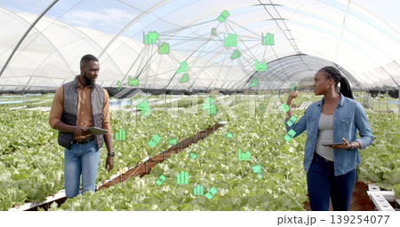 Farm techs holding tablets analyzing data icons in greenhouse tunnel, with hydroponic lettuce rows 139254077