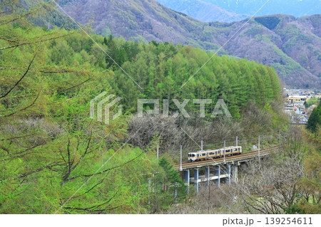 新緑の芽吹く木曽谷を行く中央本線 新緑の芽吹く木曽谷を行く中央本線 139254611