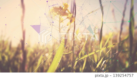 Glowing wildflower standing in golden hour meadow, with grass blades and faint network overlay 139254757