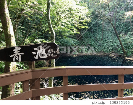 青池 青池 139255196
